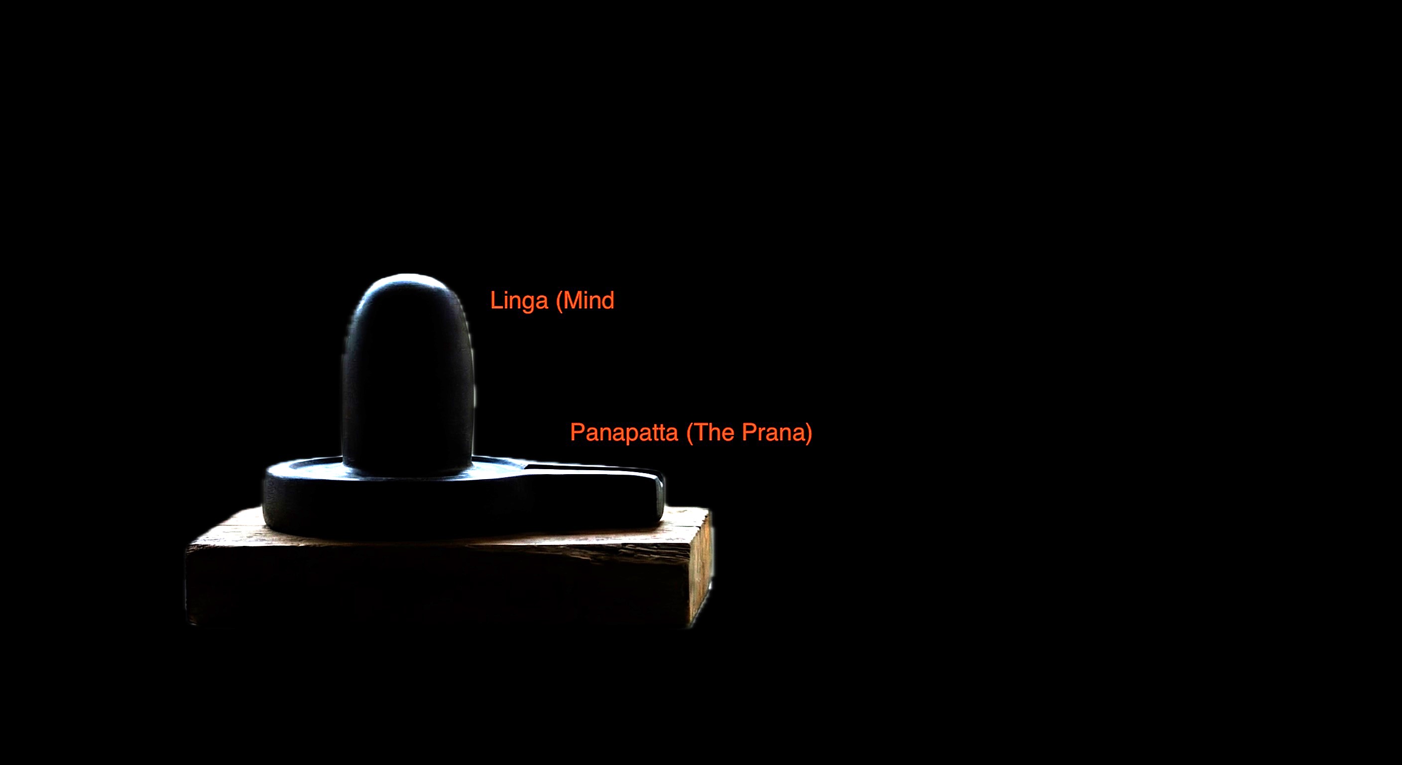 Shiva Lingam resting on Panavattam